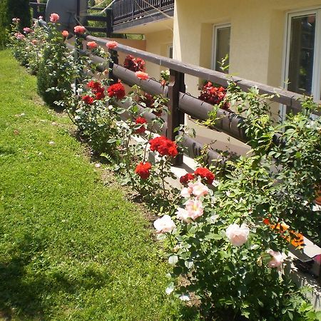 Apartments Vila Velickovic Zlatibor Exterior photo